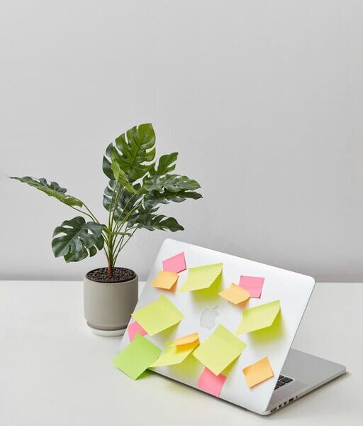 Creative Ways to Organise Your Workspace for Better Productivity