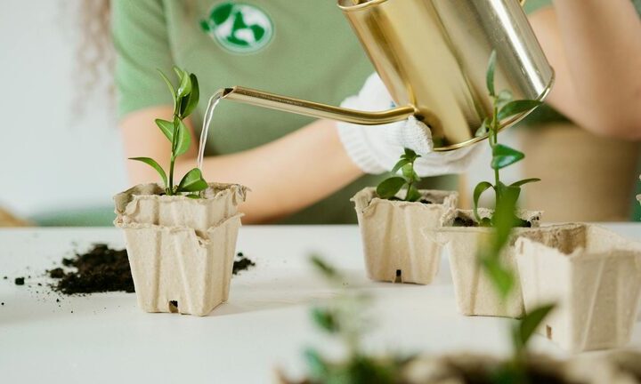 Tips for Creating a Sustainable and Eco-Friendly Home Garden